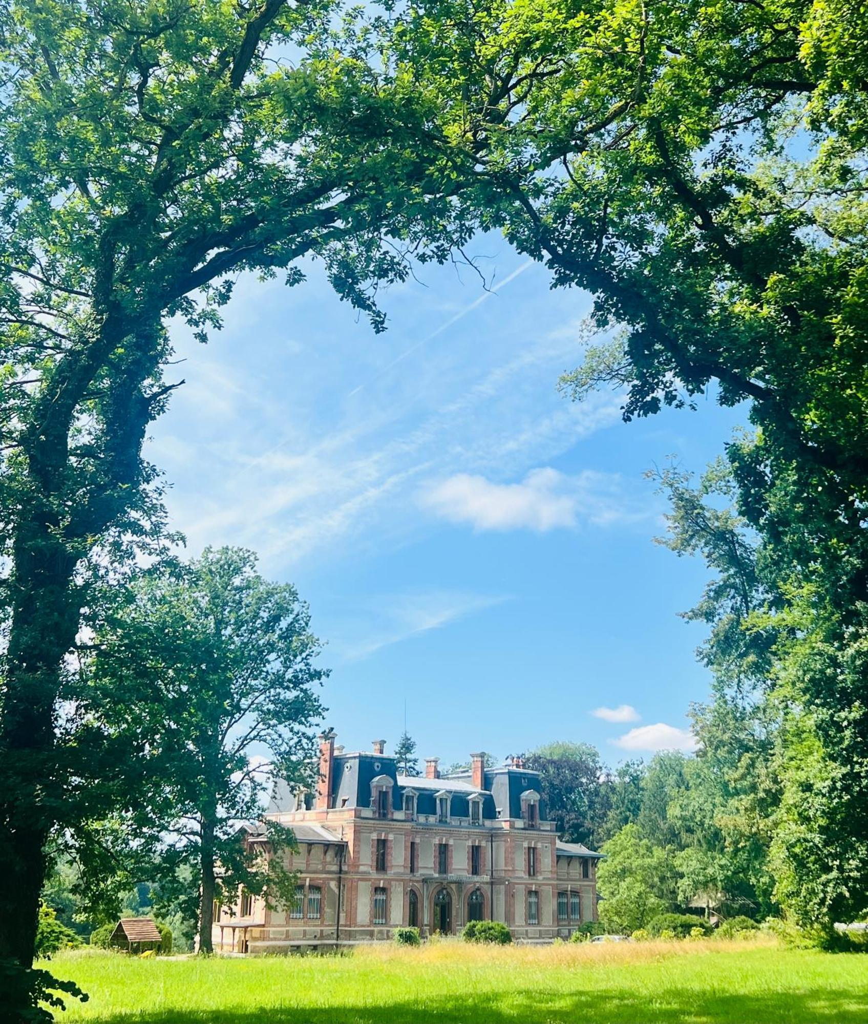 Chateau De Crenille Chaumes-en-Brie Buitenkant foto